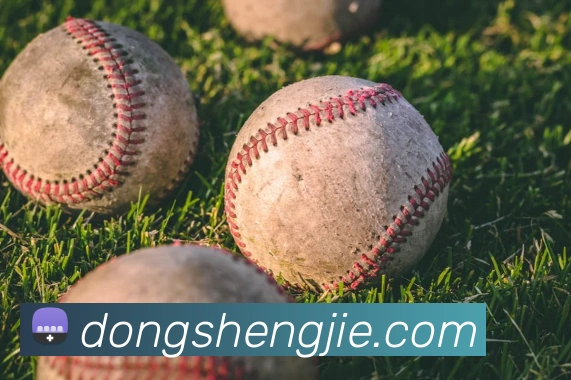 东升国际APP 封面图